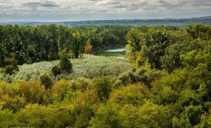 Peste 63 de mii de hectare de terenuri și păduri degradate din țară vor fi reabilitate cu suportul financiar al Uniunii Europene. Ce sumă va fi investită Peste 63 de mii de hectare de terenuri și păduri degradate din țară vor fi reabilitate cu suportul financiar al Uniunii Europene. Ce sumă va fi investită
