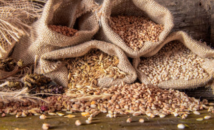 Ministerul Agriculturii anunță prelungirea măsurii de licențiere a importurilor de culturi cerealiere și oleaginoase
Ministerul Agriculturii anunță prelungirea măsurii de licențiere a importurilor de culturi cerealiere și oleaginoase