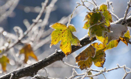 Cer noros şi temperaturi minime de până la -1 grad Celsius. Cum va fi vremea astăzi, dar și în următoarele zile. Prognoza meteo