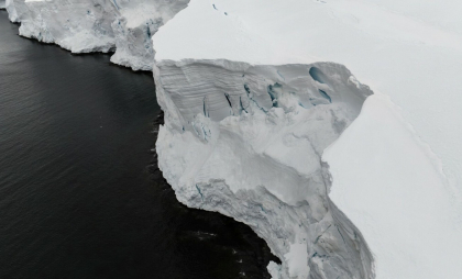 Creaturile din Antarctica care pot trăi 11.000 de ani
