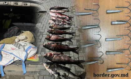 Pescuit ilegal în apele râului Nistru: Doi moldoveni - prinși cu 93 de kilograme de pește Pescuit ilegal în apele râului Nistru: Doi moldoveni - prinși cu 93 de kilograme de pește