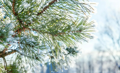Va cădea lapoviță în nordul țării. Câte grade se vor înregistra astăzi, dar și în următoarele zile. Prognoza meteo