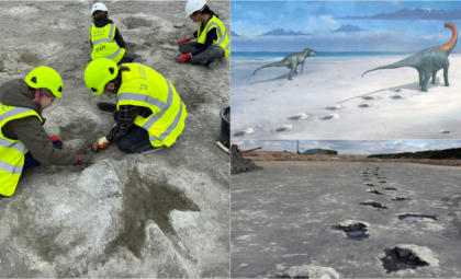 „Autostrada dinozaurilor”: Sute de urme lăsate de uriașele reptile au fost descoperite într-o carieră de piatră din Anglia - FOTO „Autostrada dinozaurilor”: Sute de urme lăsate de uriașele reptile au fost descoperite într-o carieră de piatră din Anglia - FOTO