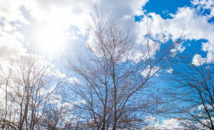 Cum va fi vremea de Crăciun pe stil vechi. Ce temperaturi prognozează meteorologii