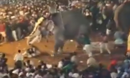 Peste 20 de persoane au fost rănite în India după ce un elefant a devenit violent în timpul unui festival religios - VIDEO