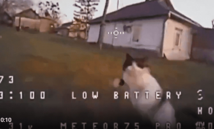 O pisică din Donețk a doboarât cu laba o dronă. Clipul video a devenit viral: „Noul sistem antidronă din biolaboratoarele ucrainene”