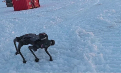 Câini-robot folosiți tot mai des în China. Ajută la rezolvarea sarcinilor periculoase și salvează vieți. „O provocare”
