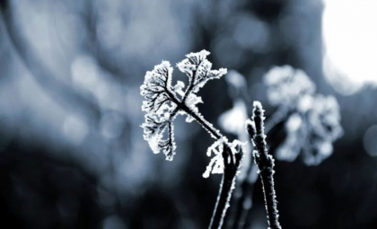 Cer noros și atmosferă calmă. Cum va fi vremea astăzi, dar și în următoarele zile. Prognoza meteo
