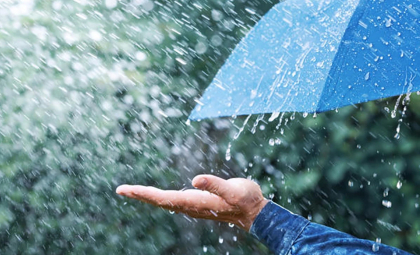 Va ploua în nordul țării. Cum va fi vremea în prima zi de februarie. Prognoza meteo