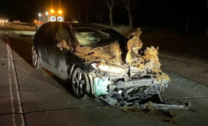 Accident violent la Sîngerei: Un căruțaș a ajuns la spital, după ce a fost lovit de un automobil. Acesta era băut. Detaliile poliției - FOTO/VIDEO Accident violent la Sîngerei: Un căruțaș a ajuns la spital, după ce a fost lovit de un automobil. Acesta era băut. Detaliile poliției - FOTO/VIDEO
