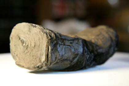 Ce au descoperit cercetătorii că scrie într-un manuscris antic, carbonizat în timpul erupției Vezuviului. Textul a fost descifrat cu inteligența artificială Ce au descoperit cercetătorii că scrie într-un manuscris antic, carbonizat în timpul erupției Vezuviului. Textul a fost descifrat cu inteligența artificială