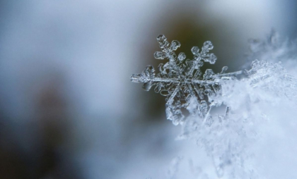 Ninsori slabe în toată țara. Cum va fi vremea astăzi, dar și în următoarele zile. Prognoza meteo
