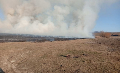 O persoană ar fi dat foc vegetației uscate în zona de protecție a râulețului Ciorna. Cu ce amendă s-ar putea alege - FOTO/VIDEO O persoană ar fi dat foc vegetației uscate în zona de protecție a râulețului Ciorna. Cu ce amendă s-ar putea alege - FOTO/VIDEO