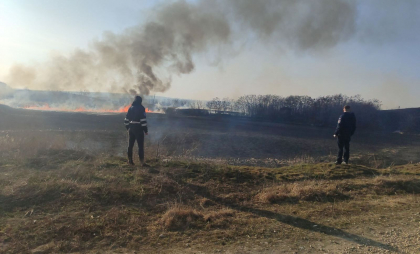 Un câmp de stuf a luat foc la Rîșcani: Mai mulți pompierii și inspectori de mediu au intervenit. Precizările IPM - FOTO
