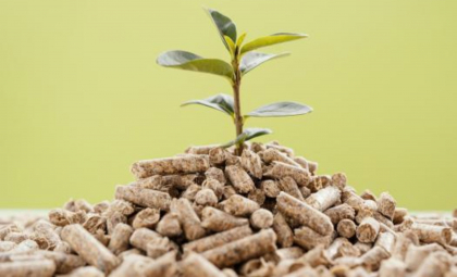 Ministerul Energiei a aprobat noi standarde de calitate pentru biocombustibilii solizi: Va  permite consumatorilor să susțină energia regenerabilă