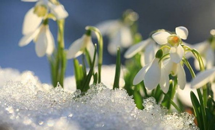 Lapoviță și temperaturi scăzute în prima zi de primăvară.  Prognoza meteo