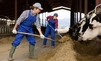 China își pregătește răspunsul la tarifele impuse de Trump. Beijingul ia în vizor importurile de produse agricole și alimentare din SUA China își pregătește răspunsul la tarifele impuse de Trump. Beijingul ia în vizor importurile de produse agricole și alimentare din SUA