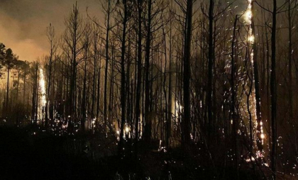 SUA se confruntă cu noi incendii puternice și greu de controlat. În Carolina de Sud a fost declarată stare de urgență - VIDEO SUA se confruntă cu noi incendii puternice și greu de controlat. În Carolina de Sud a fost declarată stare de urgență - VIDEO