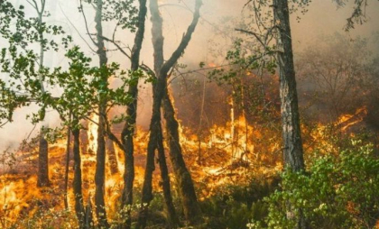 Mai multe persoane rănite și zeci de evacuări din cauza unui incendiu forestier de amploare într-o zona muntoasă din Tirolul de Sud, în Italia