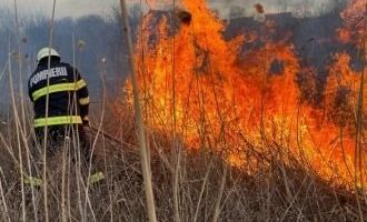 Peste 180 de hectare de teren, mistuite de flăcări, în ultimele 24 de ore. Pompierii au intervenit în 20 de raioane Peste 180 de hectare de teren, mistuite de flăcări, în ultimele 24 de ore. Pompierii au intervenit în 20 de raioane