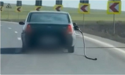 Șofer, filmat cum merge cu furtunul unei pompe de benzină agățat de rezervorul mașinii. Imaginile, postate de alt șofer pe internet