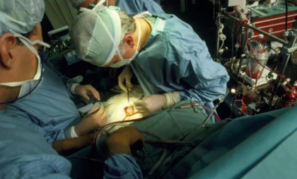 Premieră medicală în China: Transplant de rinichi de porc modificat genetic la om. Prima etapă a fost depășită cu succes