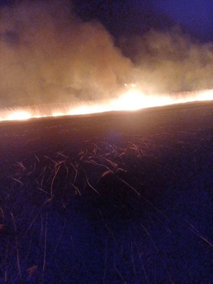 Incendiu de vegetație în raionul Cahul: Pompierii din sudul Moldovei au intervenit pentru stingerea flăcărilor - FOTO Incendiu de vegetație în raionul Cahul: Pompierii din sudul Moldovei au intervenit pentru stingerea flăcărilor - FOTO