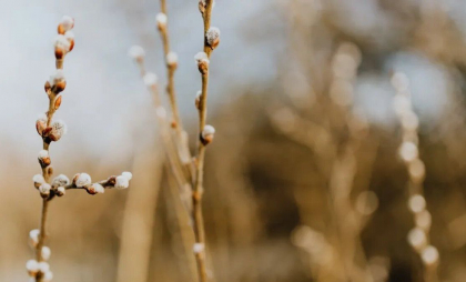 Cer noros și maxime de până la 19 grade. Cum va fi vremea astăzi, dar și în următoarele zile. Prognoza meteo Cer noros și maxime de până la 19 grade. Cum va fi vremea astăzi, dar și în următoarele zile. Prognoza meteo
