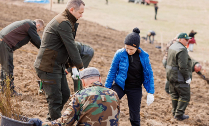 Cu mănuși pe mâine, Maia Sandu a plantat, alături de silvicultori și voluntari, puieți de salcâm și corcoduș - FOTO 