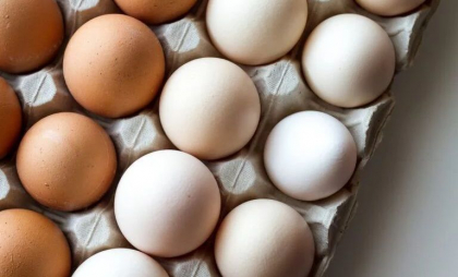 SUA caută ouă în Europa pentru a reduce preţurile acasă. Germania, Italia, Polonia şi Suedia se numără printre ţările contactate de Departamentul american al Agriculturii SUA caută ouă în Europa pentru a reduce preţurile acasă. Germania, Italia, Polonia şi Suedia se numără printre ţările contactate de Departamentul american al Agriculturii