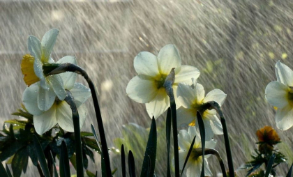 Nu uitați umbrelele acasă. Meteorologii anunță ploi slabe în toată țara. Prognoza meteo