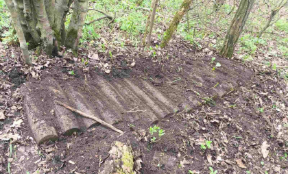 23 de proiectile de artilerie - găsite de localnici într-o pădure din Ștefan Vodă. Geniștii militari au intervenit - FOTO