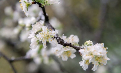 Maxime de până la 7 grade. Cum va fi vremea astăzi, dar și în următoarele zile. Prognoza meteo
