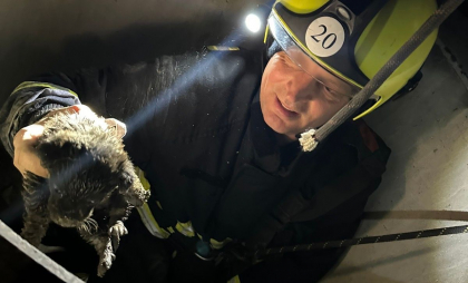 Misiune de salvare mai puțin obișnuită la Criuleni: Salvatorii au scos un cățeluș dintr-o fântână, de la o adâncime de 15 metri - FOTO Misiune de salvare mai puțin obișnuită la Criuleni: Salvatorii au scos un cățeluș dintr-o fântână, de la o adâncime de 15 metri - FOTO