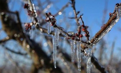 Cod GALBEN de vânt puternic și îngheț în toată țara. Care este perioada vizată. Anunțul făcut de meteorologi - FOTO