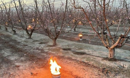 Forța Fermierilor solicită convocarea de urgență a unei ședințe la Guvern, în contextul înghețurilor: „Oare câte dezastre ar mai trebui să se întâmple.” Ce spune ministrul agriculturii  Forța Fermierilor solicită convocarea de urgență a unei ședințe la Guvern, în contextul înghețurilor: „Oare câte dezastre ar mai trebui să se întâmple.” Ce spune ministrul agriculturii