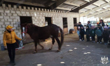 O fetiță de 6 ani, internată la terapie intensivă, iar alți copii au fost răniți, după o excursia la un club de echitație din Tighina. Ce s-a întâmplat