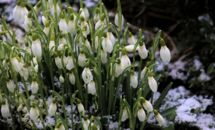 Lapoviță în nordul și centrul țării. Câte grade se vor înregistra astăzi, dar și în următoarele zile. Prognoza meteo Lapoviță în nordul și centrul țării. Câte grade se vor înregistra astăzi, dar și în următoarele zile. Prognoza meteo
