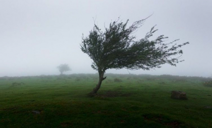 Autoritățile din China le cer oamenilor care au sub 50 de kilograme să stea în case, ca să nu fie luați pe sus de vânt Autoritățile din China le cer oamenilor care au sub 50 de kilograme să stea în case, ca să nu fie luați pe sus de vânt