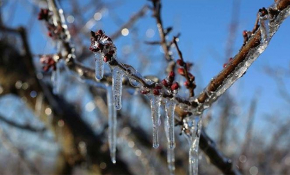 Cod GALBEN de înghețuri în estul țării. Câte grade se vor înregistra - FOTO