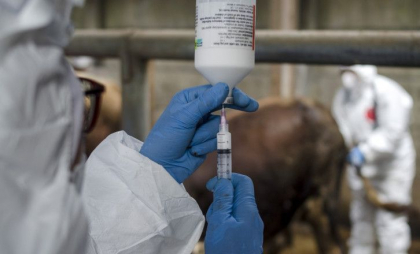 Marea Britanie interzice brânza și carnea din UE pentru a opri răspândirea febrei aftoase Marea Britanie interzice brânza și carnea din UE pentru a opri răspândirea febrei aftoase