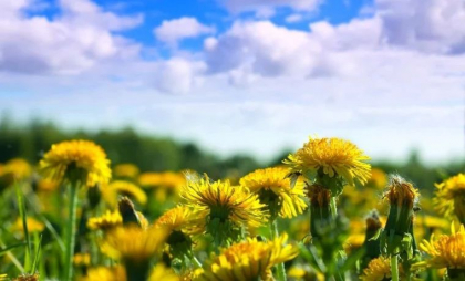 Maxime de până la 22 de grade. Cum va fi vremea astăzi, dar și în următoarele zile. Prognoza meteo
