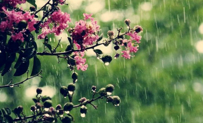 Precipitații slabe în unele raioane și maxime de până la 29 grade. Cum va fi vremea astăzi, dar și în următoarele zile. Prognoza meteo