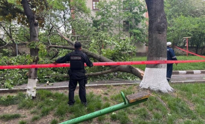 Vântul puternic a făcut ravagii la Bălți: Un copac a căzut peste firele electrice. Carabinierii au intervenit - FOTO Vântul puternic a făcut ravagii la Bălți: Un copac a căzut peste firele electrice. Carabinierii au intervenit - FOTO