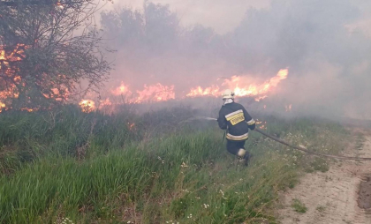 Incendiu de vegetație la Cahul: 30 de hectare de vegetație, mistute de flăcări. Pompierii au luptat cu focul circa 5 ore - FOTO Incendiu de vegetație la Cahul: 30 de hectare de vegetație, mistute de flăcări. Pompierii au luptat cu focul circa 5 ore - FOTO