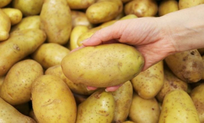 În Belarus, țara dictatorului Lukașenko, este penurie de cartofi, simbol al identității naționale