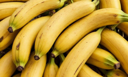 Bananele, în pericol. Ce anume le amenință culturile Bananele, în pericol. Ce anume le amenință culturile