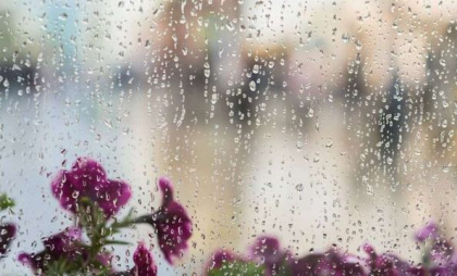 Cer noros și ploi slabe în nordul țării. Cum va fi vremea astăzi, dar și în următoarele zile. Prognoza meteo Cer noros și ploi slabe în nordul țării. Cum va fi vremea astăzi, dar și în următoarele zile. Prognoza meteo