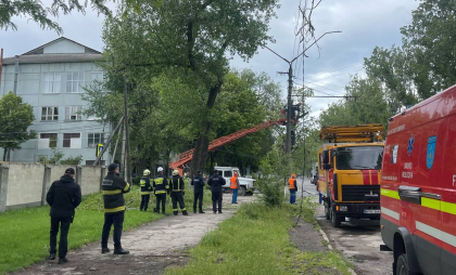 Vântul puternic a făcut ravagii în Bălți: Mai multe crengi au fost doborâte peste liniile electrice. Serviciile specializate au intervenit - FOTO/VIDEO