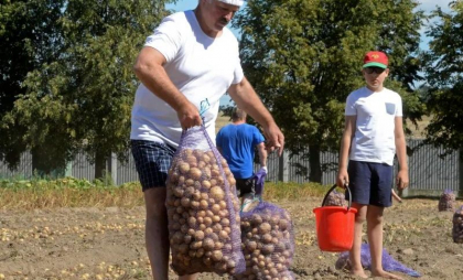 Cartofi pentru Rusia. Aliatul lui Putin îndeamnă fermierii să sape mai mult pentru a-i hrăni și pe „frații noștri” Cartofi pentru Rusia. Aliatul lui Putin îndeamnă fermierii să sape mai mult pentru a-i hrăni și pe „frații noștri”